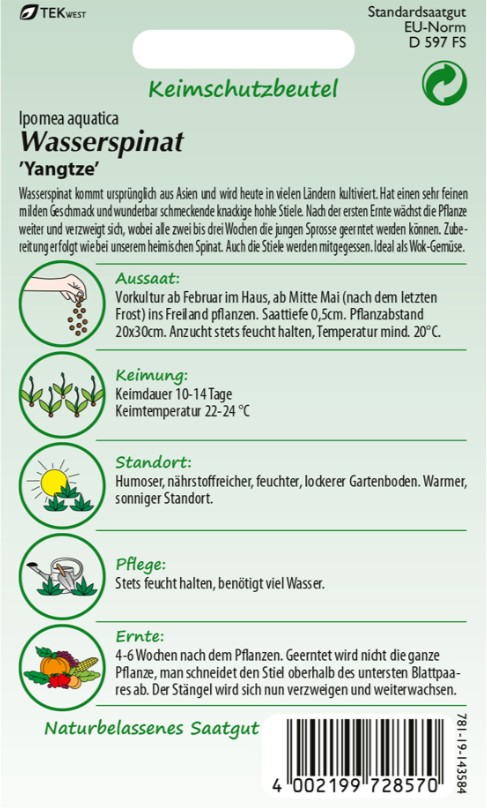 Spinat Wasserspinat Yangtze - Produktbild 2