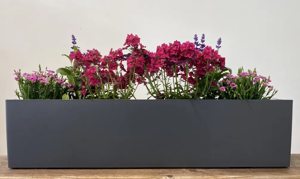 Lechuza Balkonkasten Balconera Schiefergrau als Produkt des Monats
