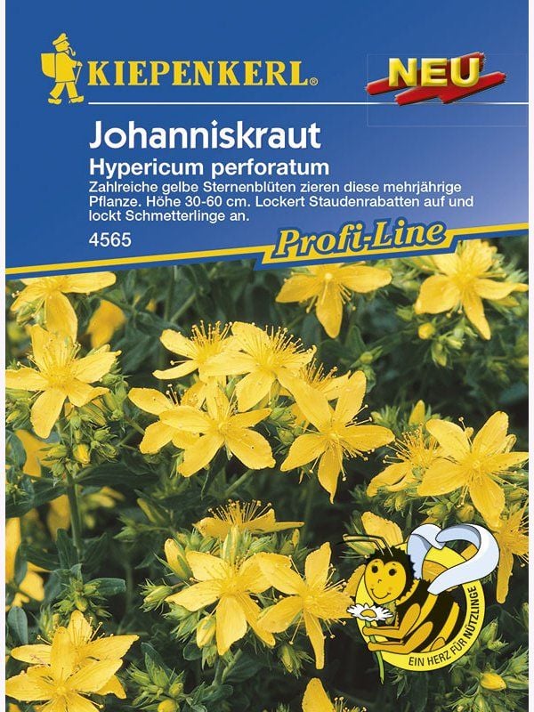 Hypericum Johanniskraut - Produktbild 1