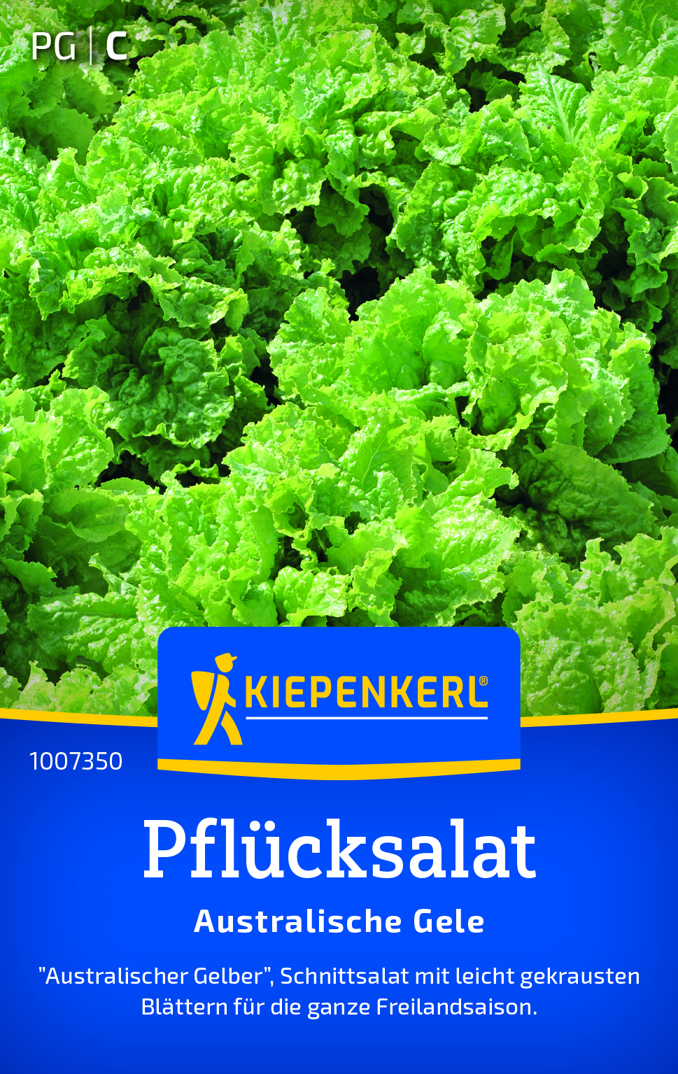 Pflücksalat Australischer Gele