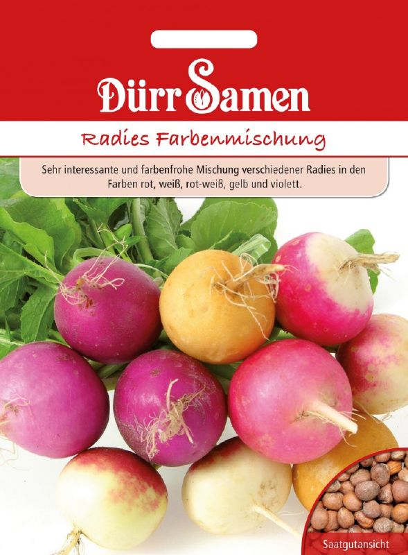 Radies Farbenmix