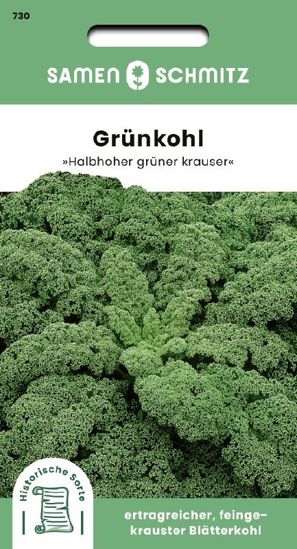 Grünkohl Halbhoher, grüner Krauser