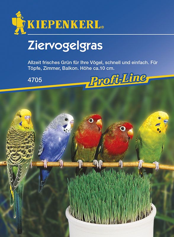 Ziervogelgras