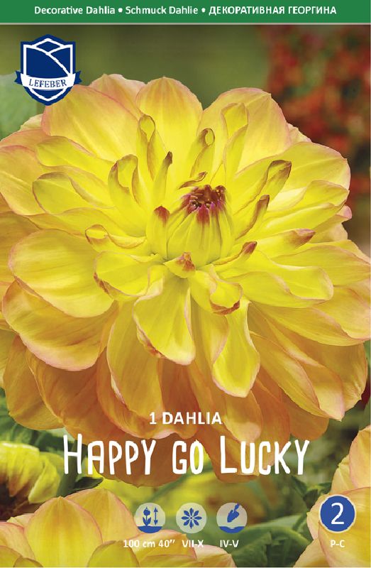 Dahlie Schmuck Happy go Lucky