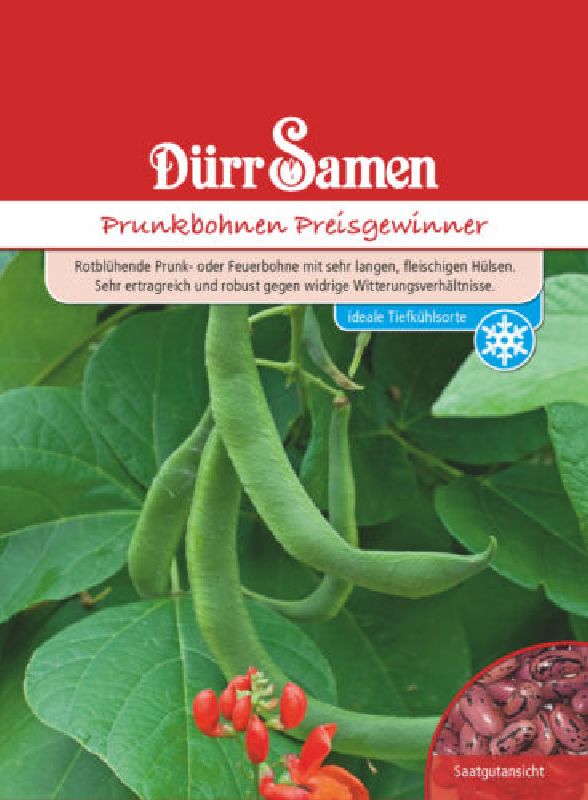 Bohne Feuerbohne Preisgewinner