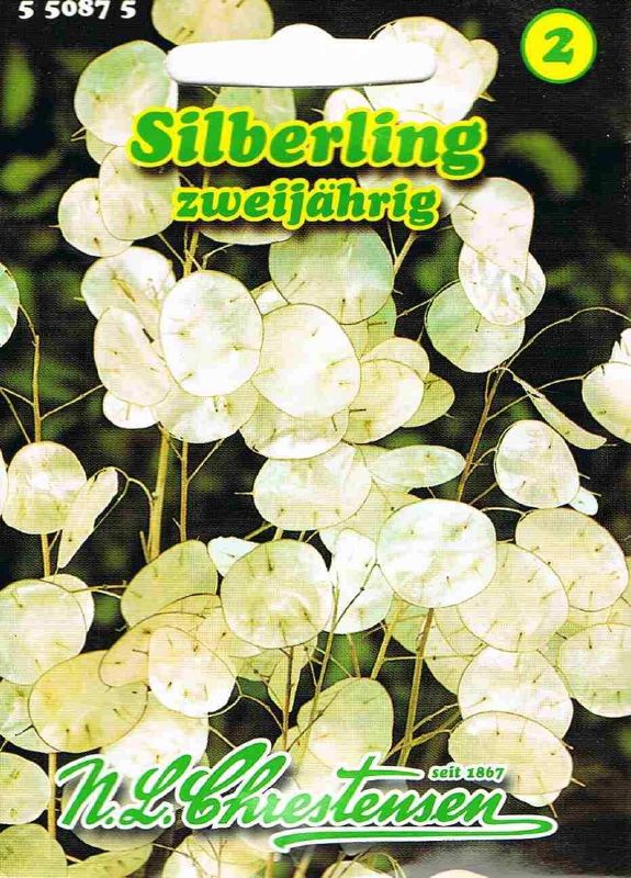 Lunaria, Silberling