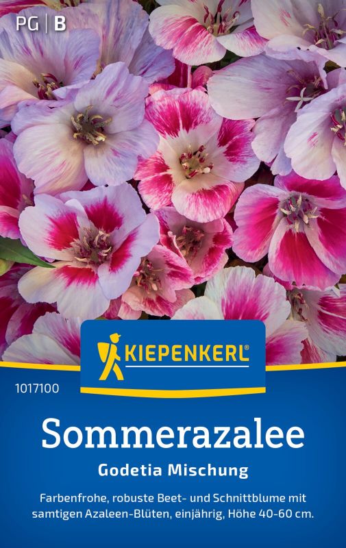 Sommerazalee