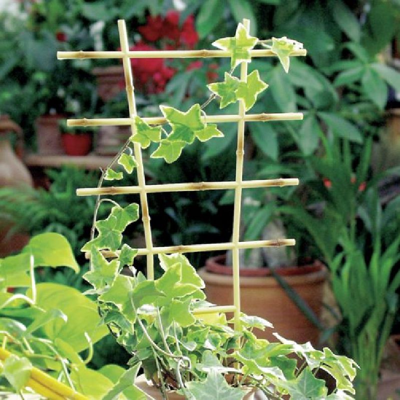 Pflanzgitter 52 cm Bambus