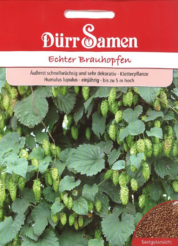 Brauhopfen, echter