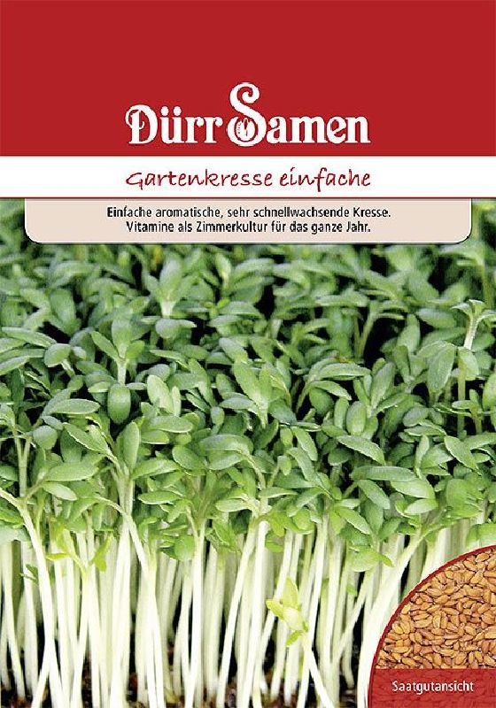 Gartenkresse Einfache, grüne