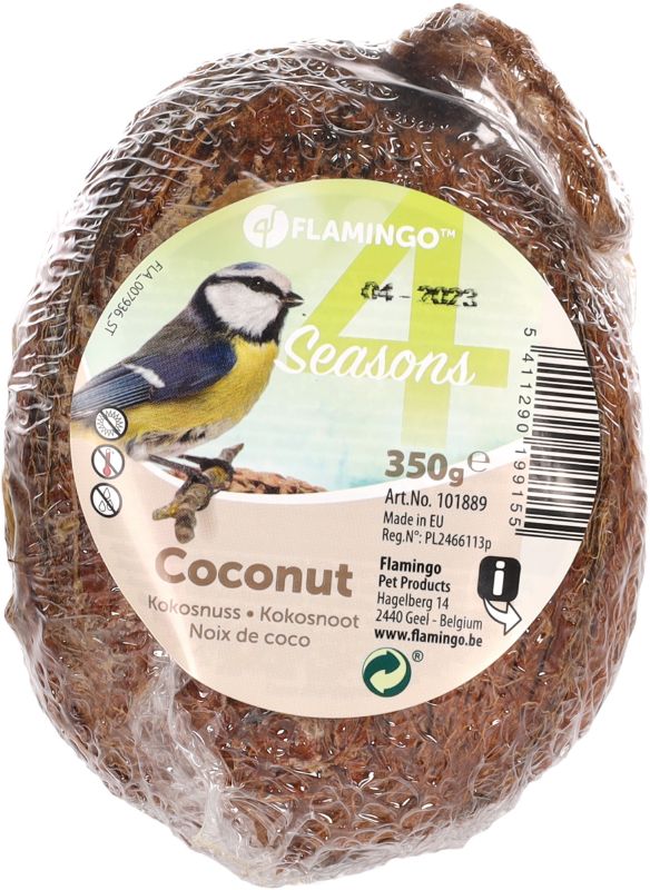 Kokosnuss gefüllt mit Löchern