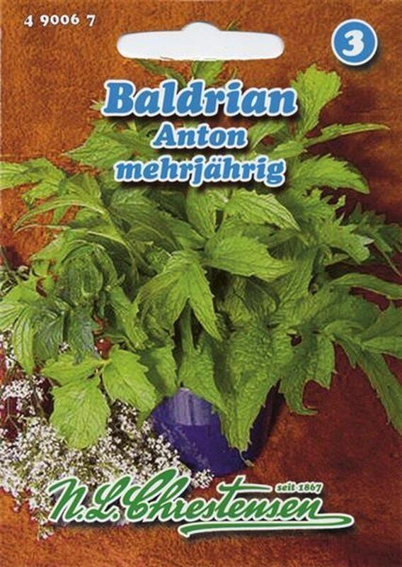 Baldrian - Produktbild 1