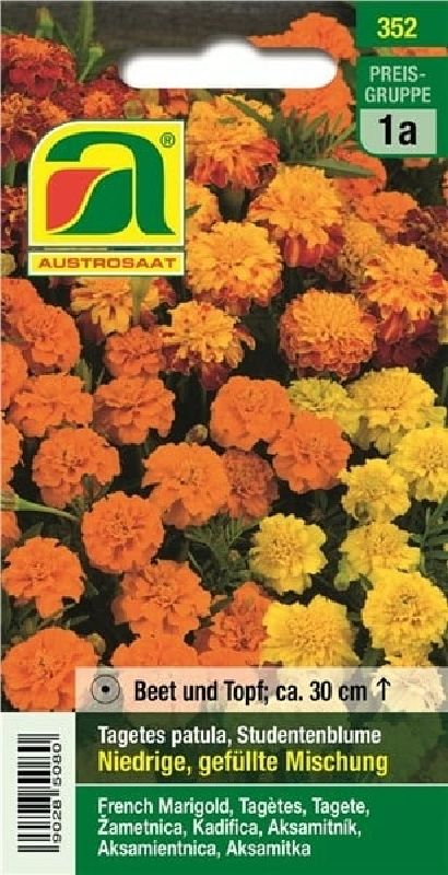 Tagetes patula gefüllte Mischung