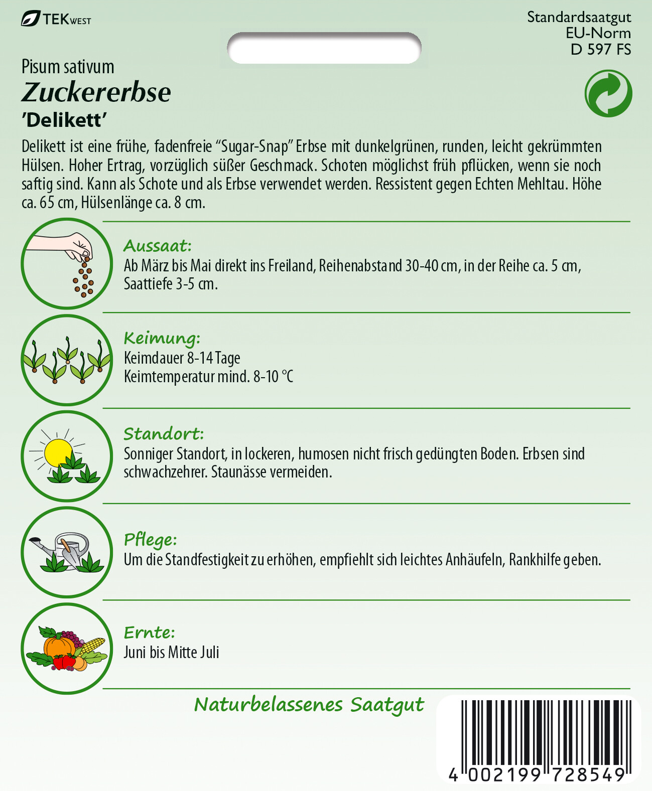 Erbse, Zuckererbse Delikett - Produktbild 4