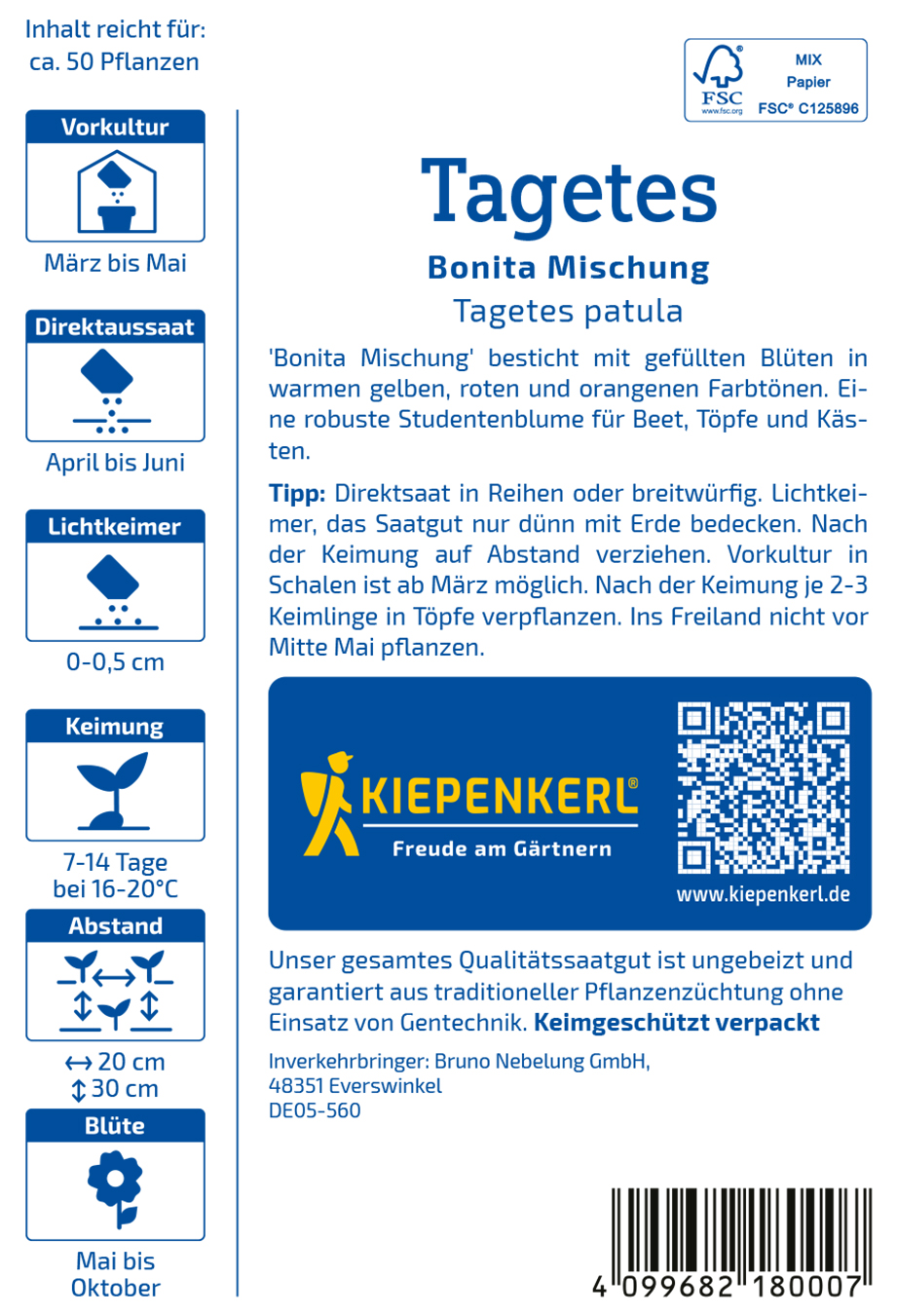 Tagetes Bonita Mischung - Produktbild 2