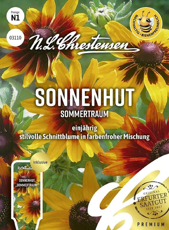Rudbeckia Sommertraum