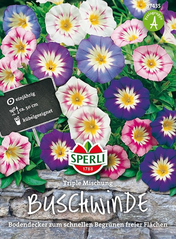 Convolvulus tricolor Triple Mischung - Produktbild 1