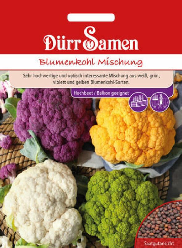 Blumenkohl Mischung aus 4 Farben