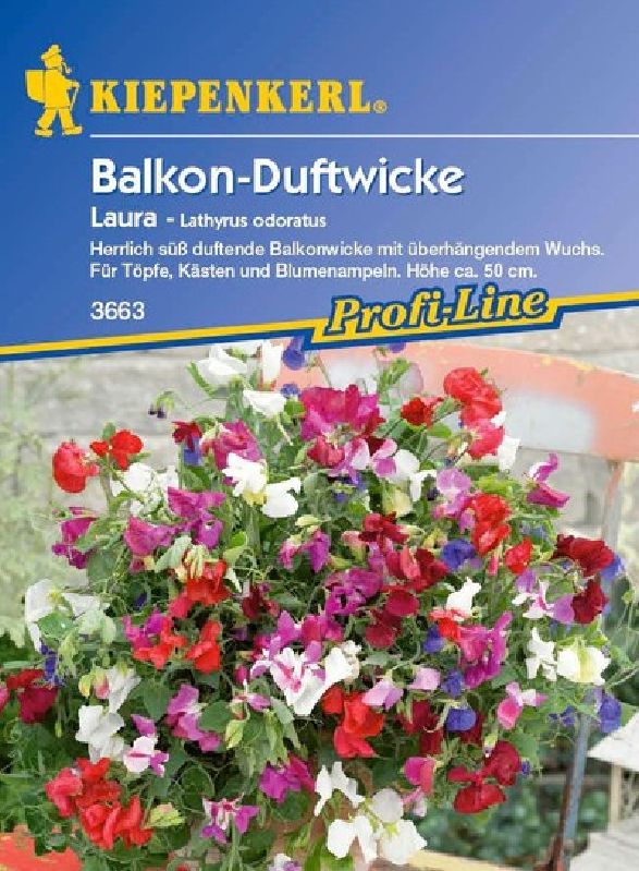 Lathyrus Laura, Hänge-Wicke