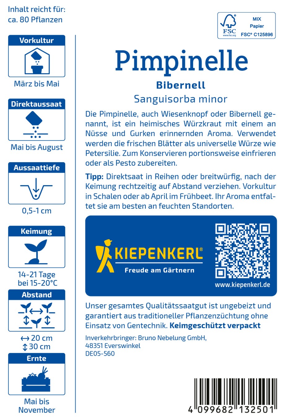Bibernell, Wiesenknopf - Produktbild 2