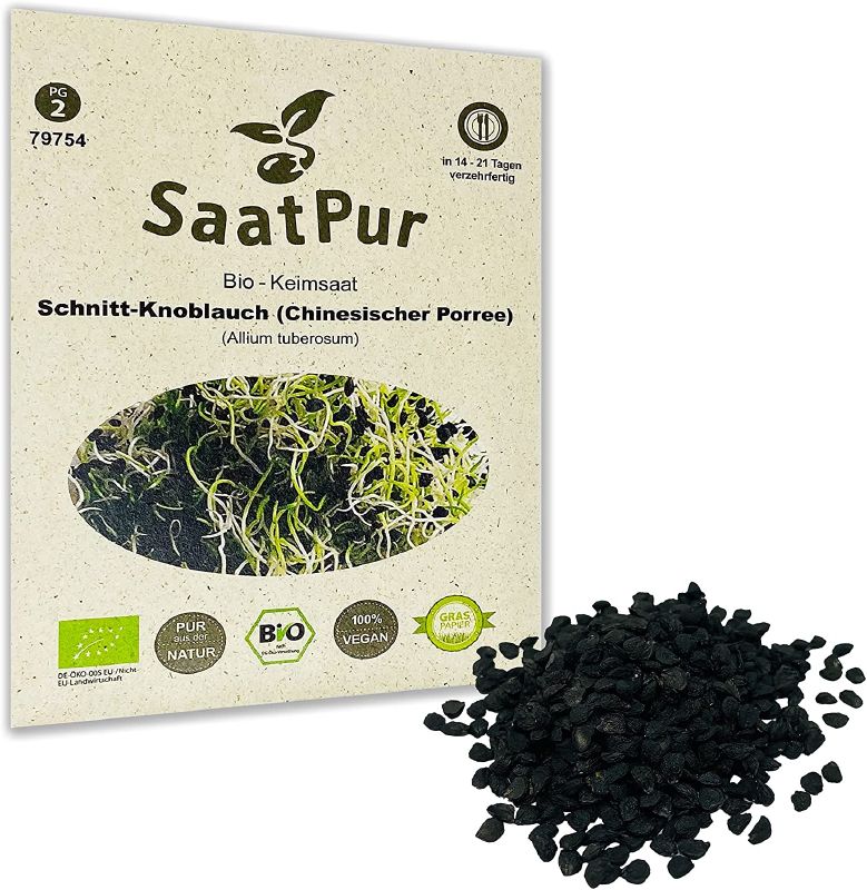 Keimsprossen Schnitt-Knoblauch