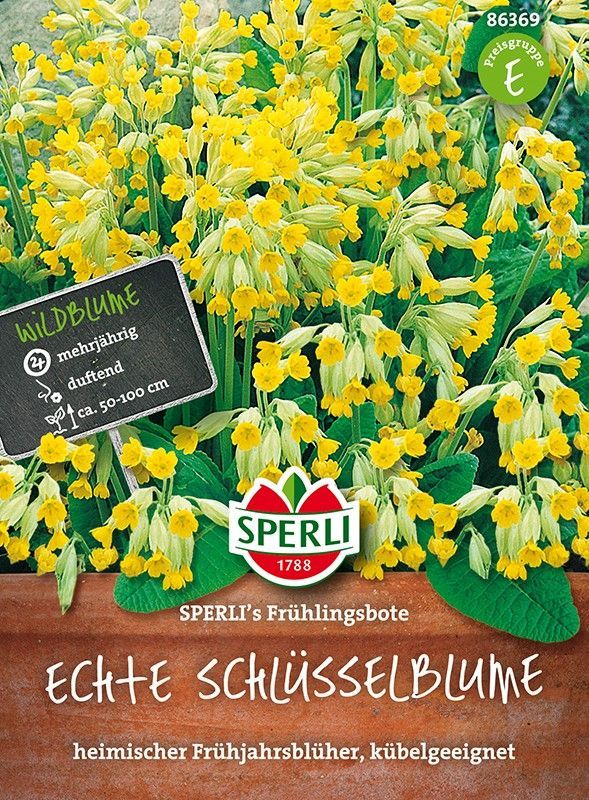 Samen Schmitz München Ihr Ansprechpartner für Samen, Pflanzen